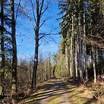 Διαμέρισμα 'allgaeus Finest Place '-domizil Zum Traeumen Und Erholen