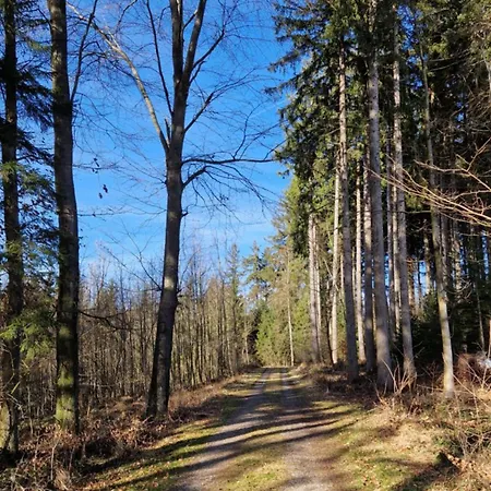 Daire 'allgaeus Finest Place '-domizil Zum Traeumen Und Erholen