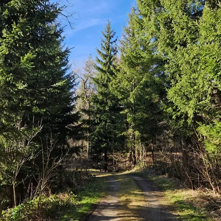 Daire 'allgaeus Finest Place '-domizil Zum Traeumen Und Erholen